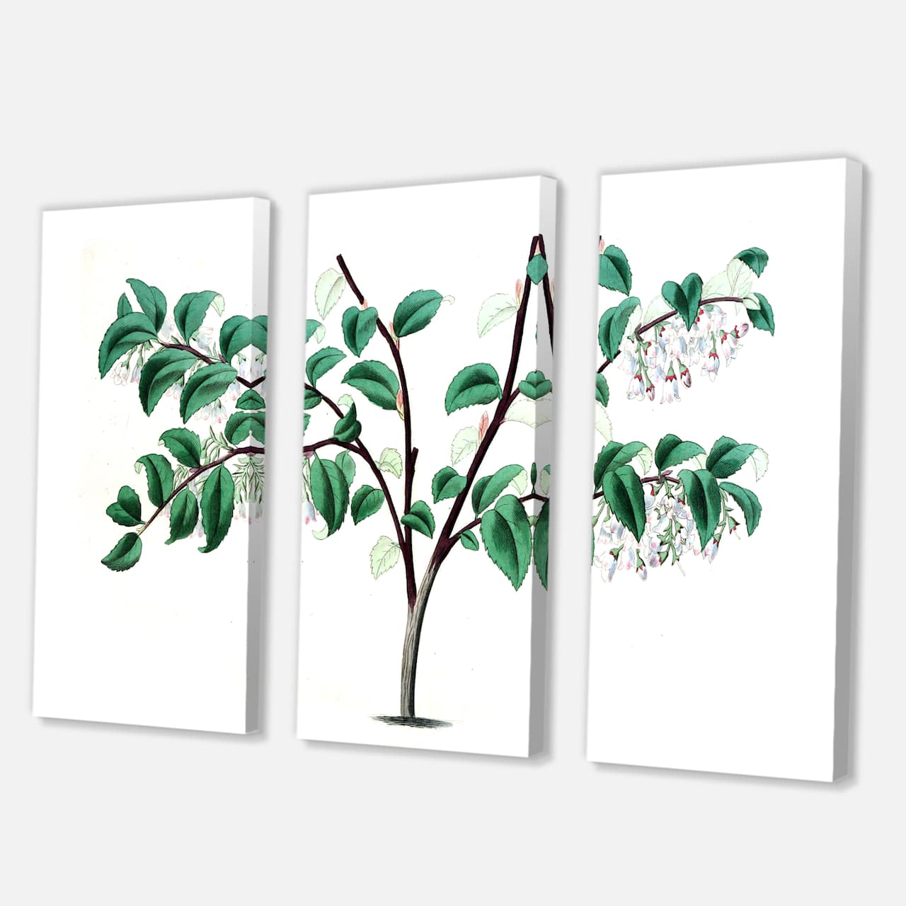 Designart - Vintage Green Leaves Plants I - Traditional Canvas Wall Art Print